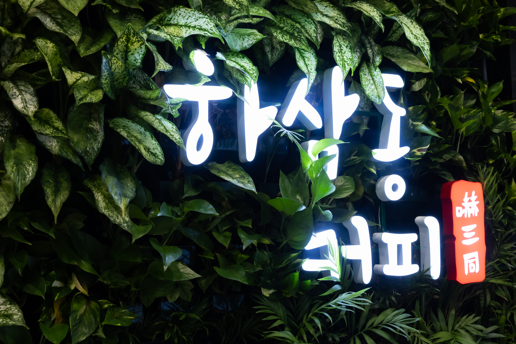 자동 임시글